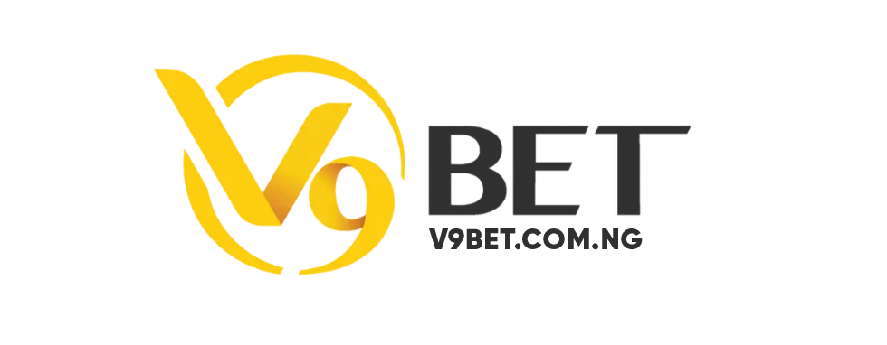 dvmedia.it.com