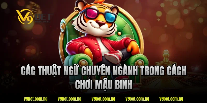 Cách Chơi Mậu Binh Là Gì? Tìm Hiểu Luật Chơi Chuẩn Từ A–Z 3 Các thuật ngữ chuyên ngành trong cách chơi mậu binh