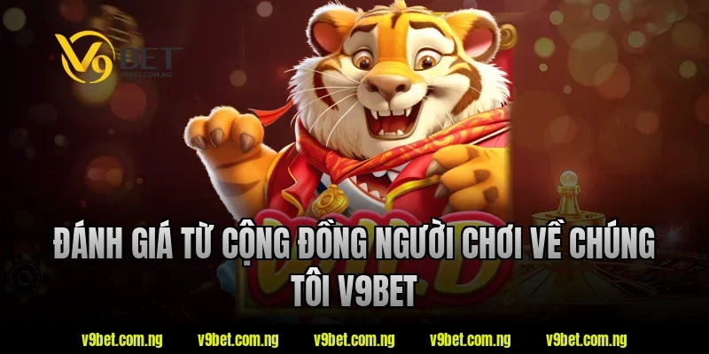 Đánh giá từ cộng đồng người chơi về chúng tôi v9bet
